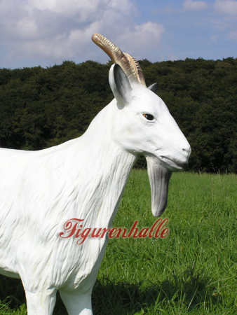 Preview: Goat decoration