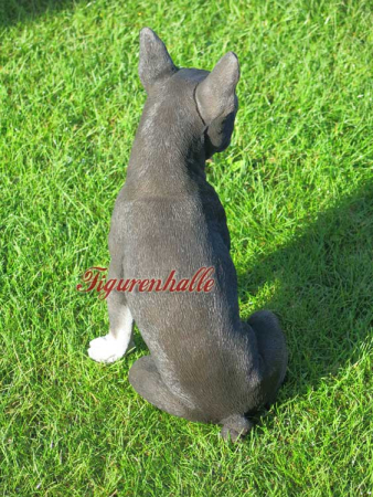 Preview: Boston Terrier Dekoration im Hundebereich