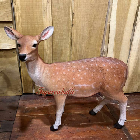 Preview: Reh Stehend