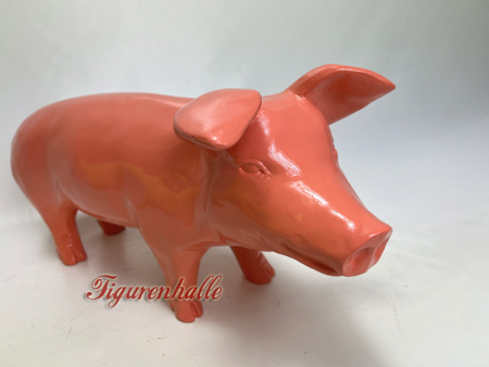 Preview: Rosa glänzendes Schwein