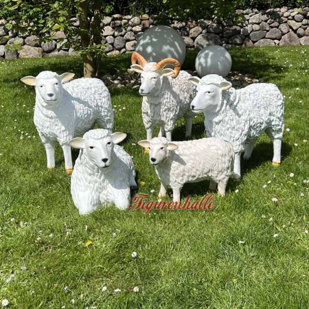 5 sheep as flock figures