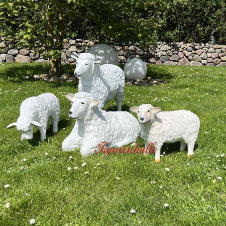 Flock of sheep with small and large sheep