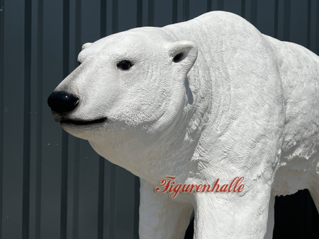 Polar bear 110009