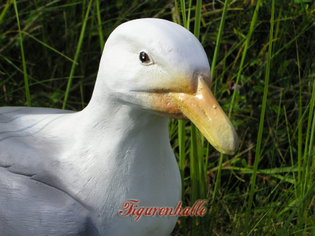 Seagull beak figurine Baltic Sea