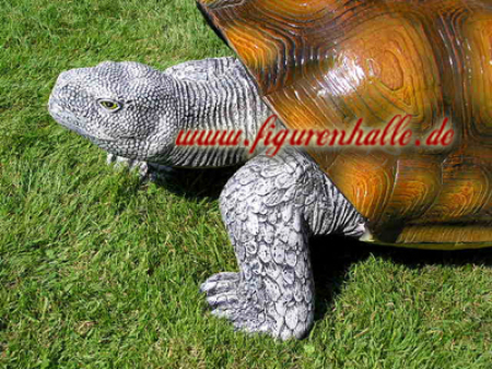 Preview: Schildkröte Garten