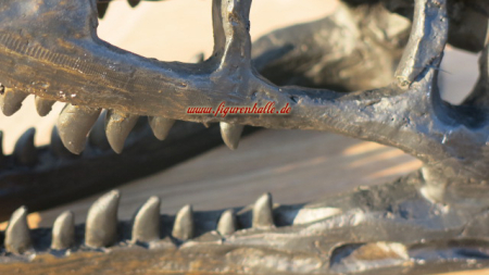 Preview: Dinosaur skull