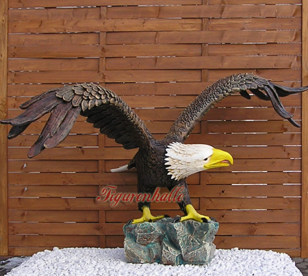 Preview: Weißkopfadler