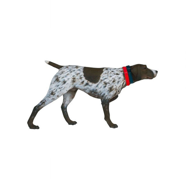 Shorthaired Pointer Statue