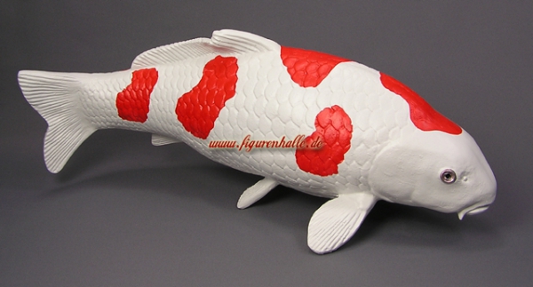 Kohaku Koi
