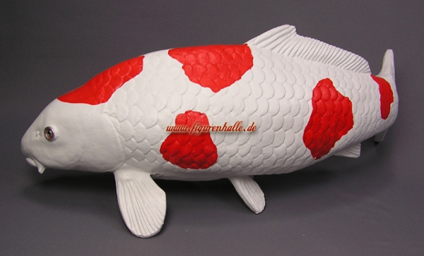 Kohaku Koi