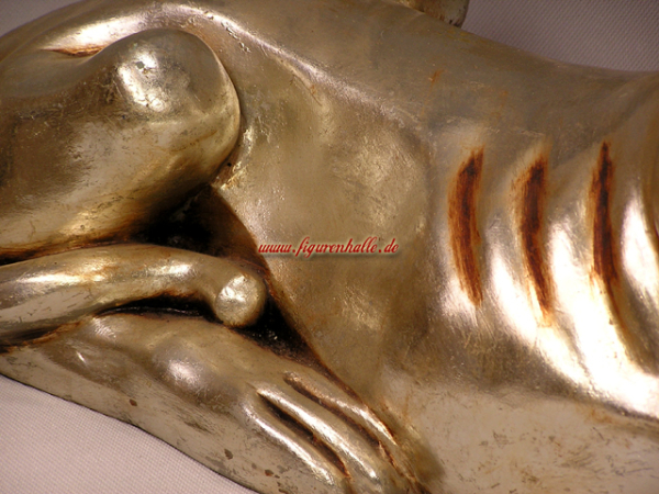 Ägyptische  Schakal  Hund