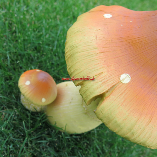 Deko Pilz