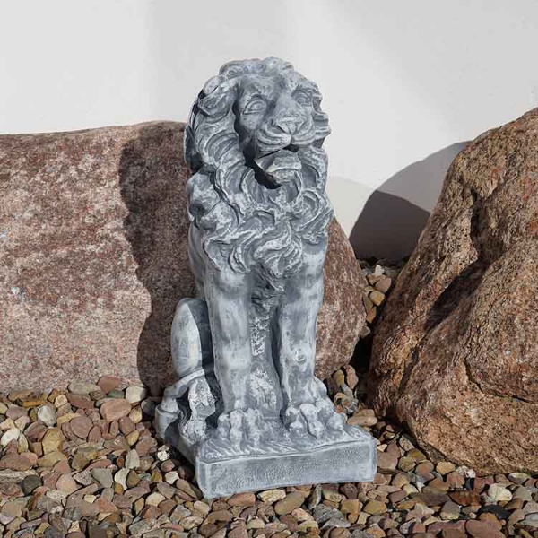 Lion in concrete optics