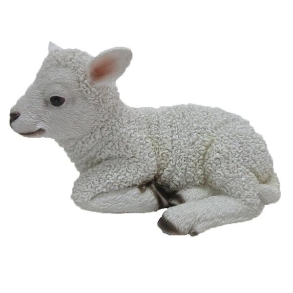 Reclining lamb
