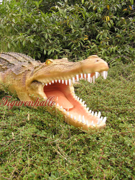 Life size crocodile as figure