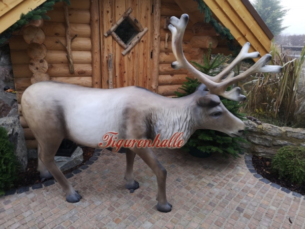 Life-size reindeer