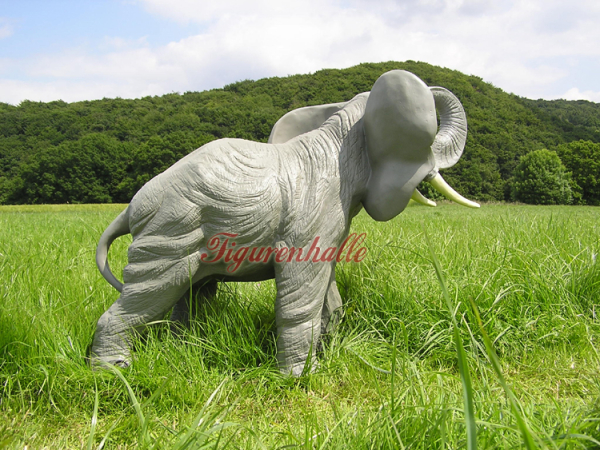 African Elephant Buy