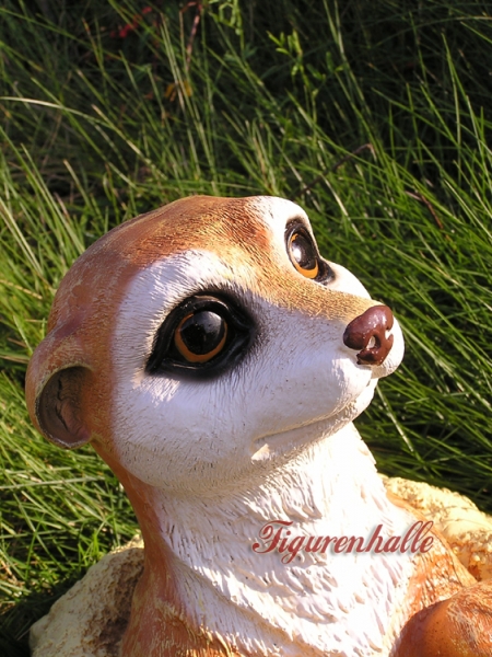 Meerkat figure