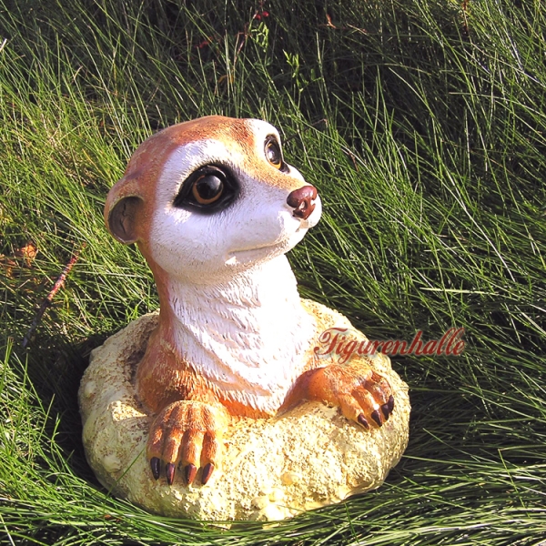 Meerkat garden figure