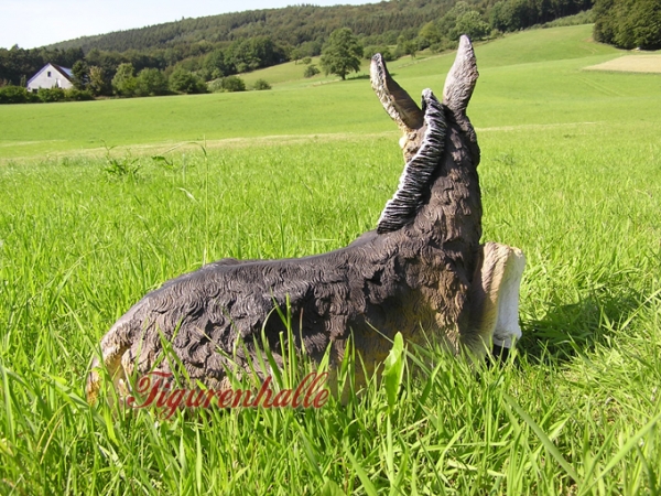 Romantisches Eselchen Ferien auf dem Bauernhof