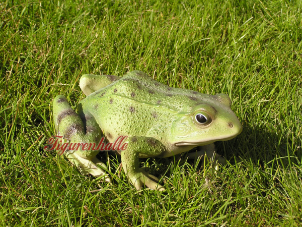 Teichfrosch Figur