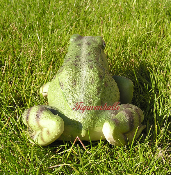 Deko Foto Frosch