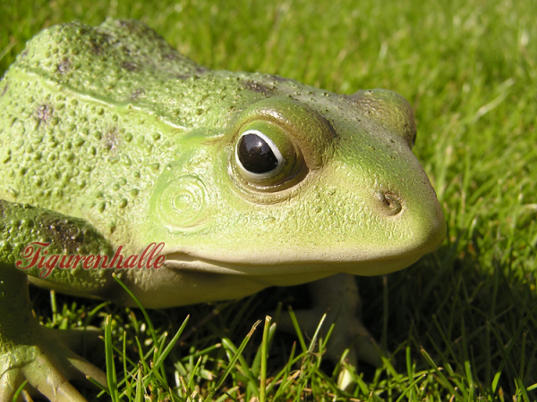 Gartenfigur Frosch
