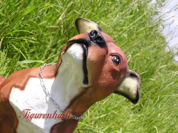 Rasse Hund Pit Bull Terrier Figur