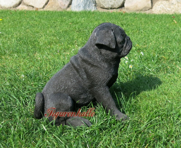 Mops Süss als Figur