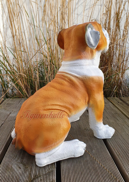 Englische Bulldogge Gartenfigur