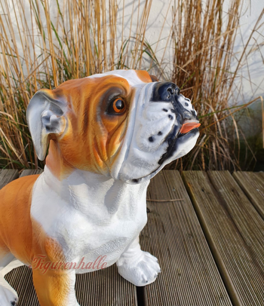 Bulldogge zur Deko im Haus