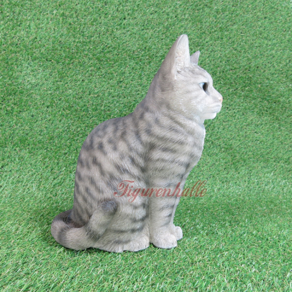 Beige cat American Shorthair gray display figure