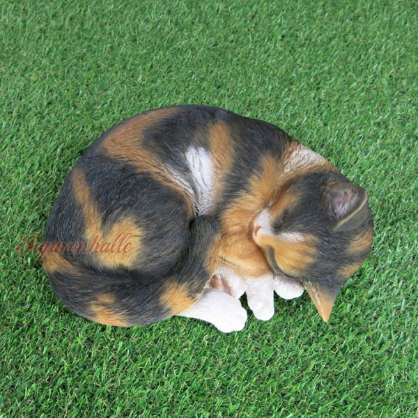 Katze American Shorthair schlafend grau