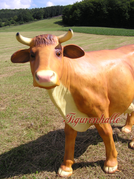 Cow brown