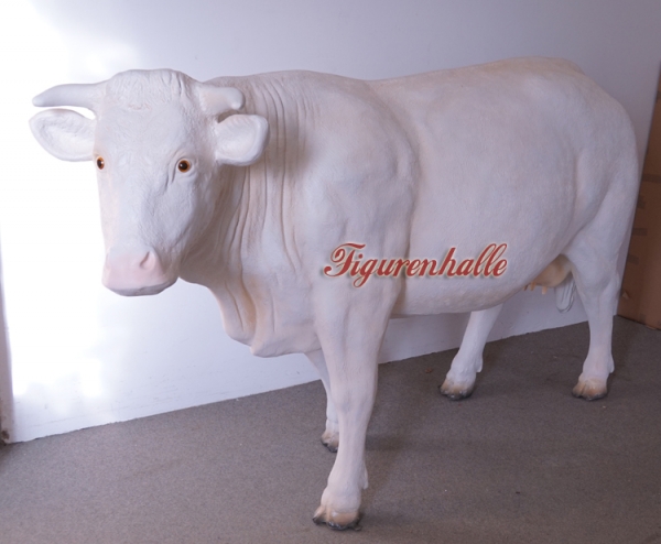 GFK Kuh Charolais Rind kaufen