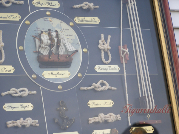 Knoten Vitrine