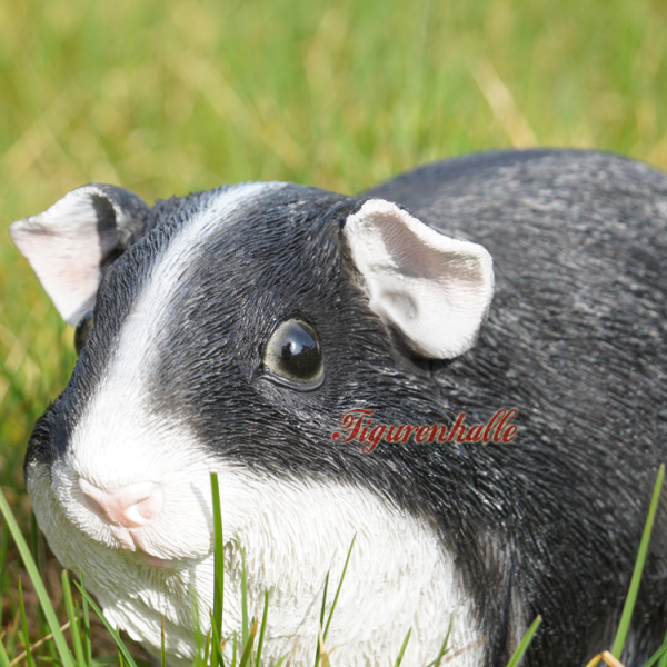 Dekoration Langhaar Merschweinchen Dekofigur