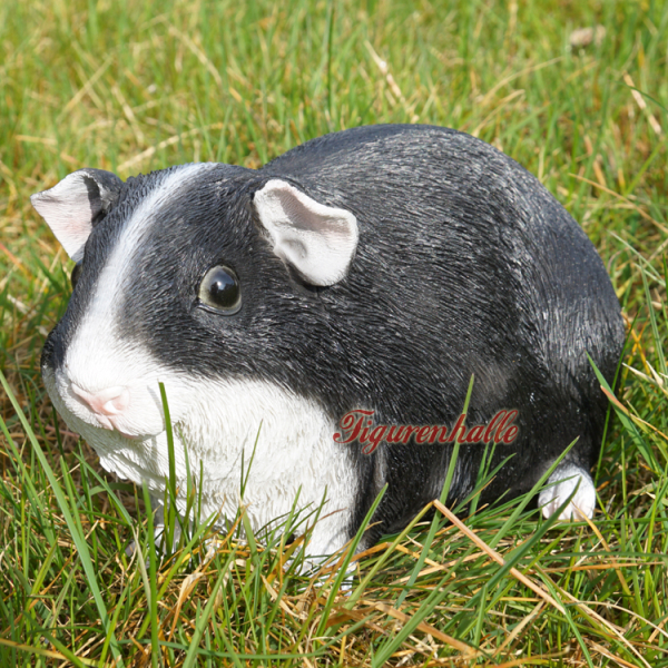 Schwarzes Meerschweinchen als Statue