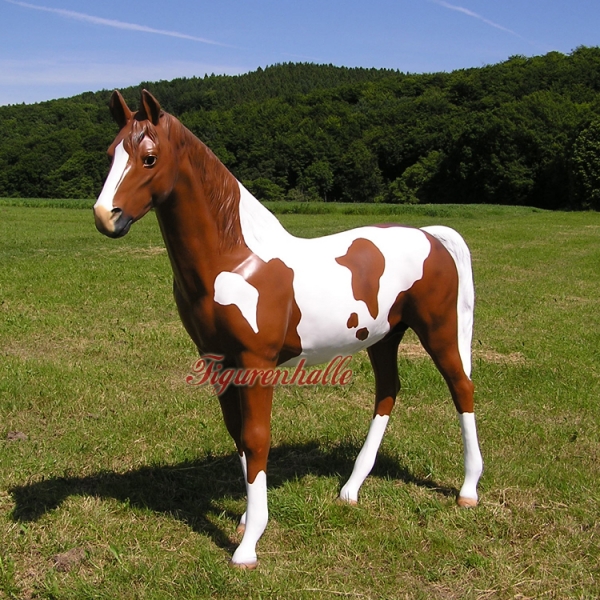 Quarter horses Braun