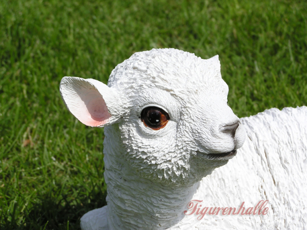 Tiere für den Bauernhof