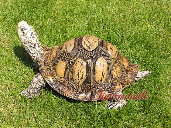 Schildkröte Statue