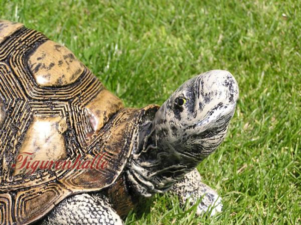 Schildkröte Gartenteich Deko