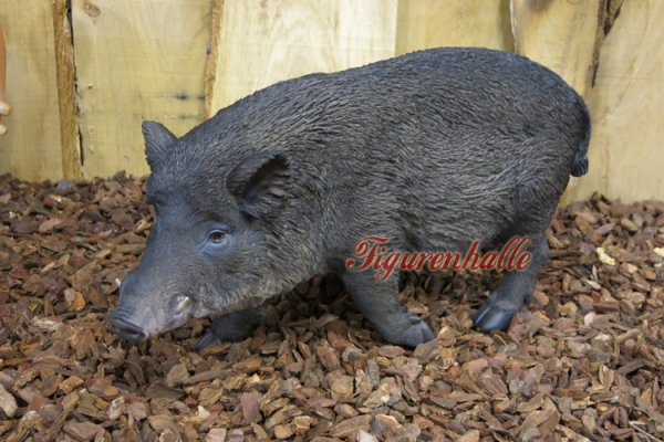 Wildschwein Natur Wald Dekoration