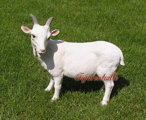 Ziege Bergziege Figur