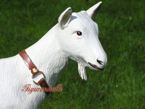 Zicklein Bauernhof Tierfigur lebensgroß