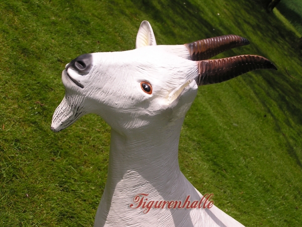 Ziege Viehversteigerung