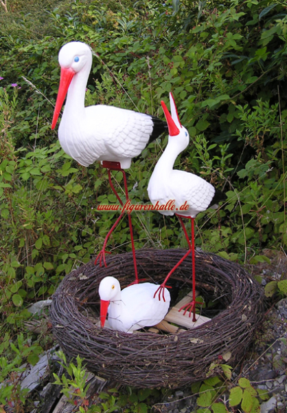 Storch Familie