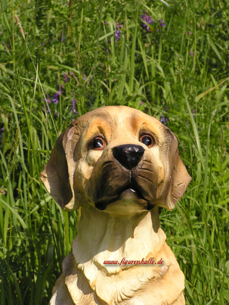 Golden Retriever lebensgroß