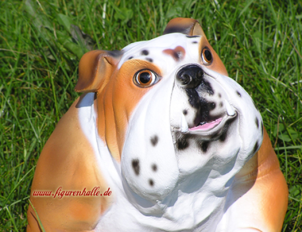 Englische Bulldogge Skulptur