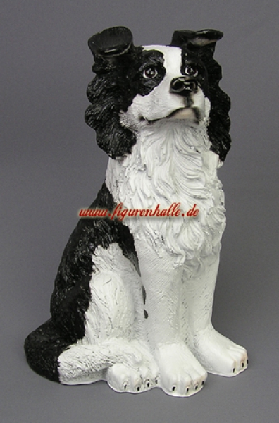 Border Colli Fan Deko